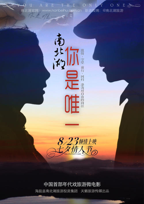 做个假的新加坡护照